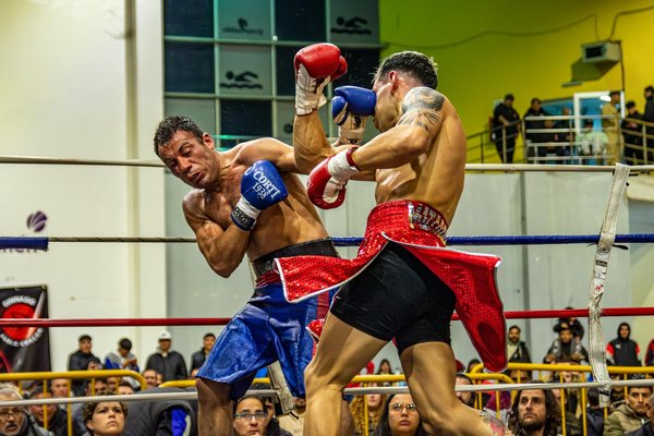 Les meilleures boules de bowling pour tous les joueurs